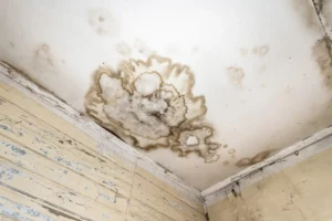 Détection de fuite d'eau suite à de l'humidité maison ou des moisissures par ARDF 35