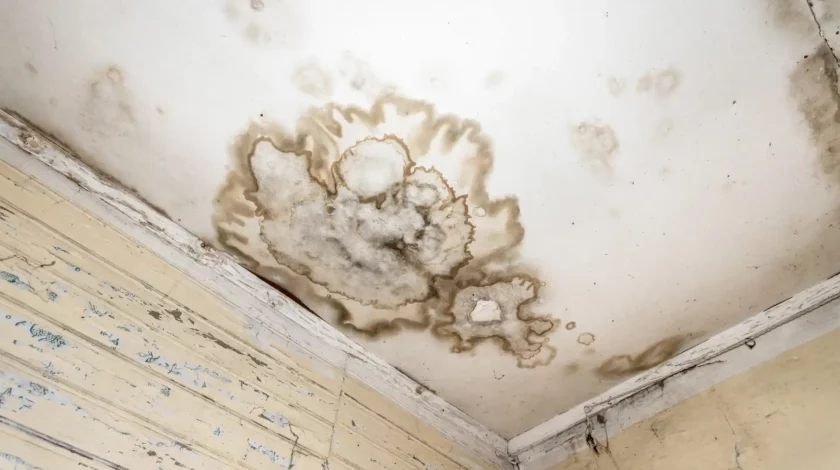 Détection de fuite d'eau suite à de l'humidité maison ou des moisissures par ARDF 35