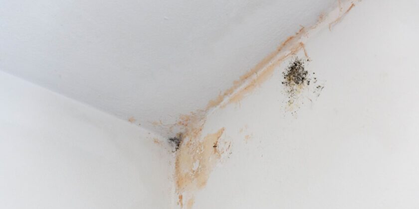 Photo qui illustre les dangers des fuites d'eau dans une maison.