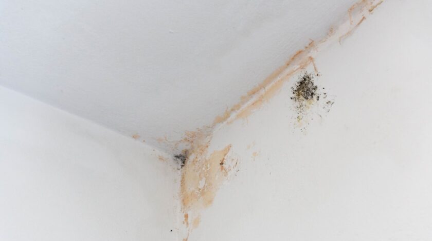 Photo qui illustre les dangers des fuites d'eau dans une maison.